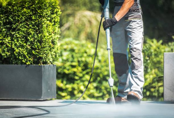 Trusted Dewitt, MI Pressure Washing Services Experts
